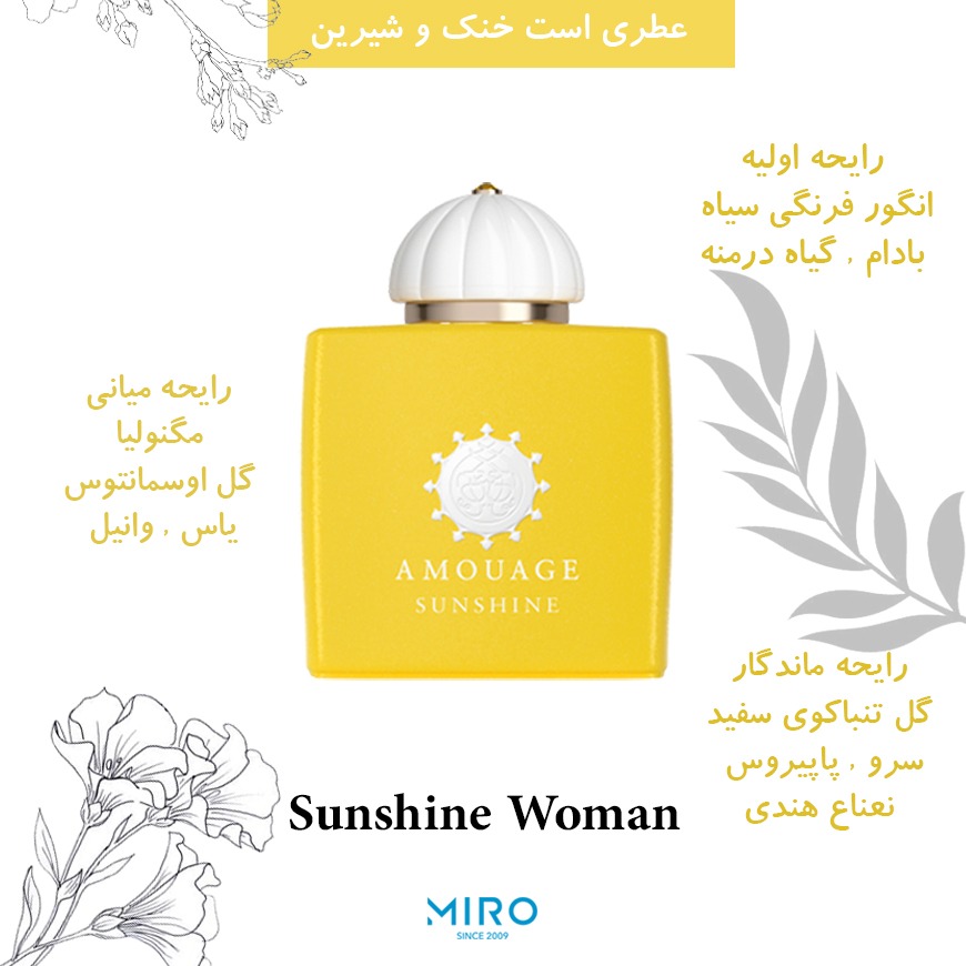 Amouage sunshine best sale